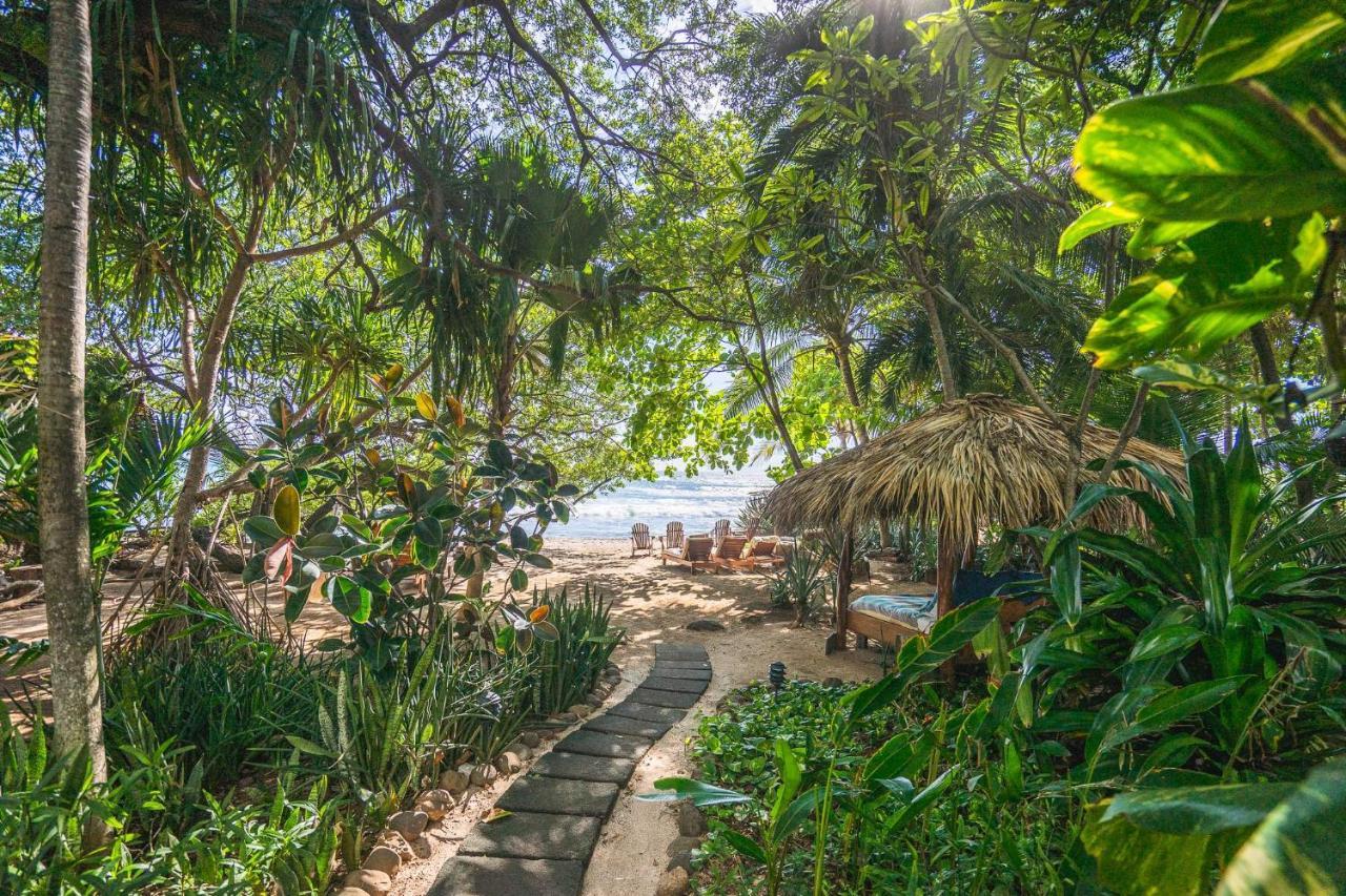 Sueno Del Mar Beachfront Hotel Tamarindo Dış mekan fotoğraf