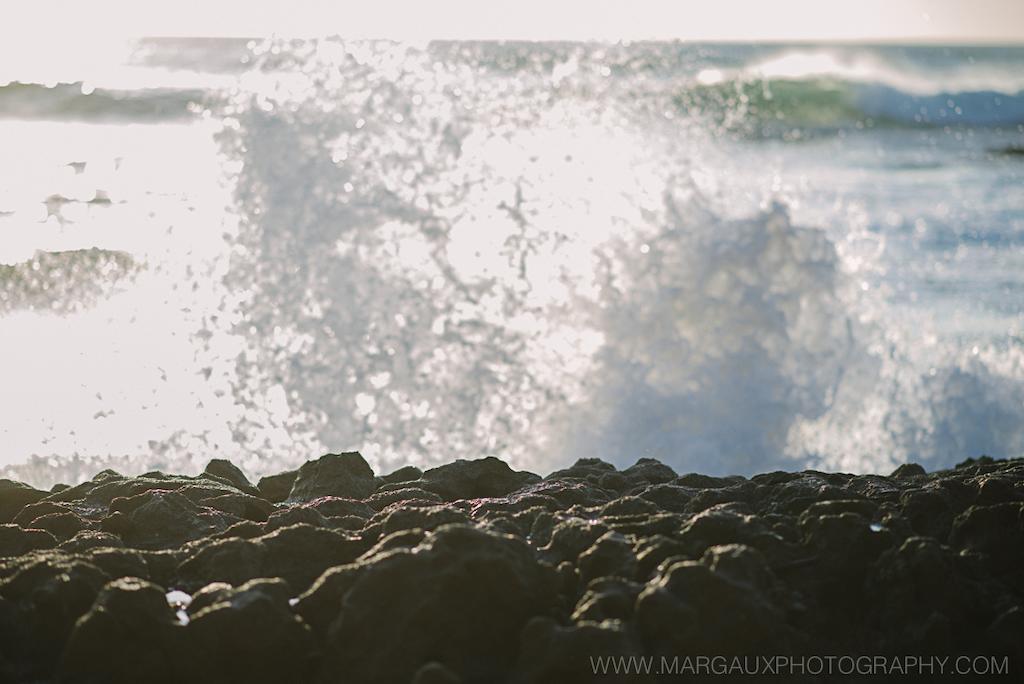 Sueno Del Mar Beachfront Hotel Tamarindo Dış mekan fotoğraf